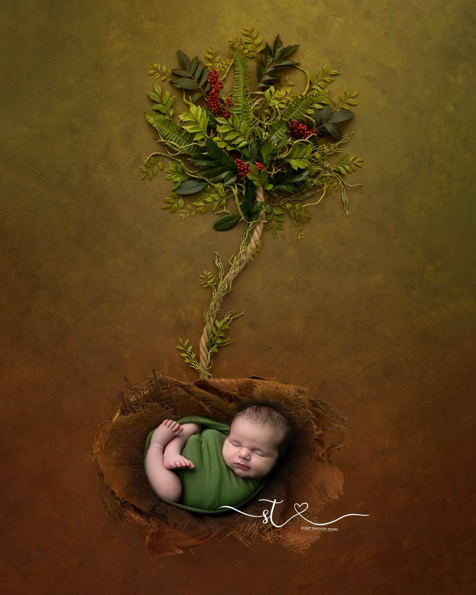 shoot_through's tweet photo. Newborn Photography  ❤ ❤ ❤
Contact https://t.co/JBvznOzfvN to Book your Newborn Photo Shoot |  📷 📷
#sandiegomaternityphotographer #sandiegonewbornbabyphotographer #newbornphotographysanmarcosca #sandiegonewbornphotographer #newbornphotography #newbornphotographer https://t.co/o2fGGymfoT