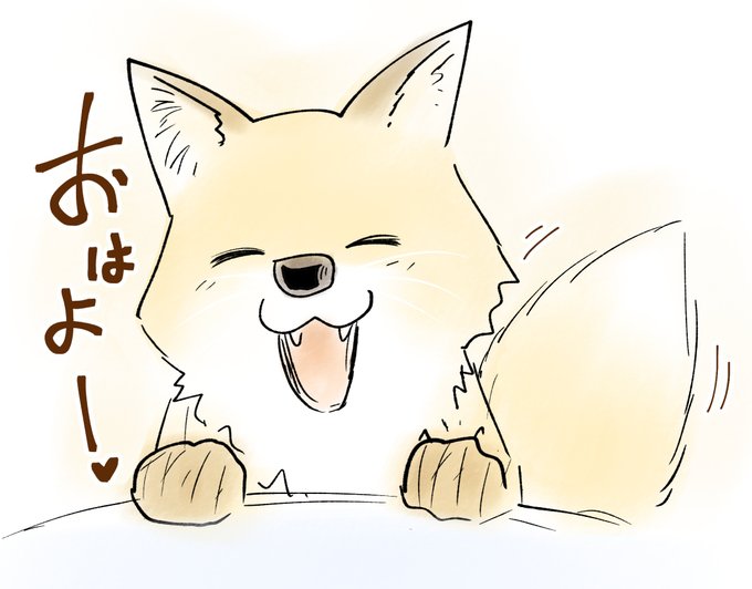 おはよー🦊 