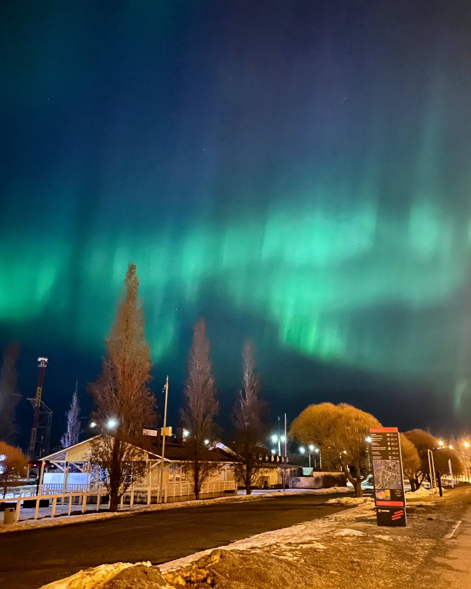 Anna Sirén tweet media