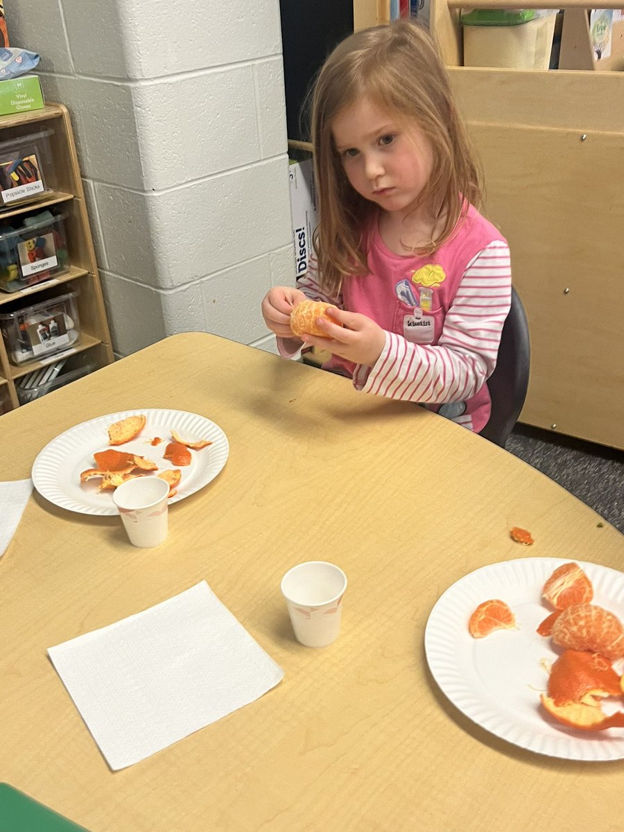 SGHawksTeacherAcademy tweet media