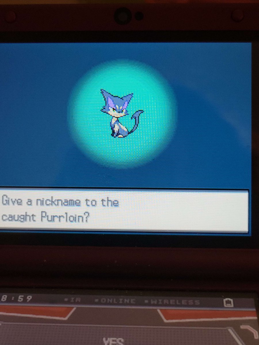 SHINY PURRLOIN AFTER 11,047 RE's (DTQ #1)