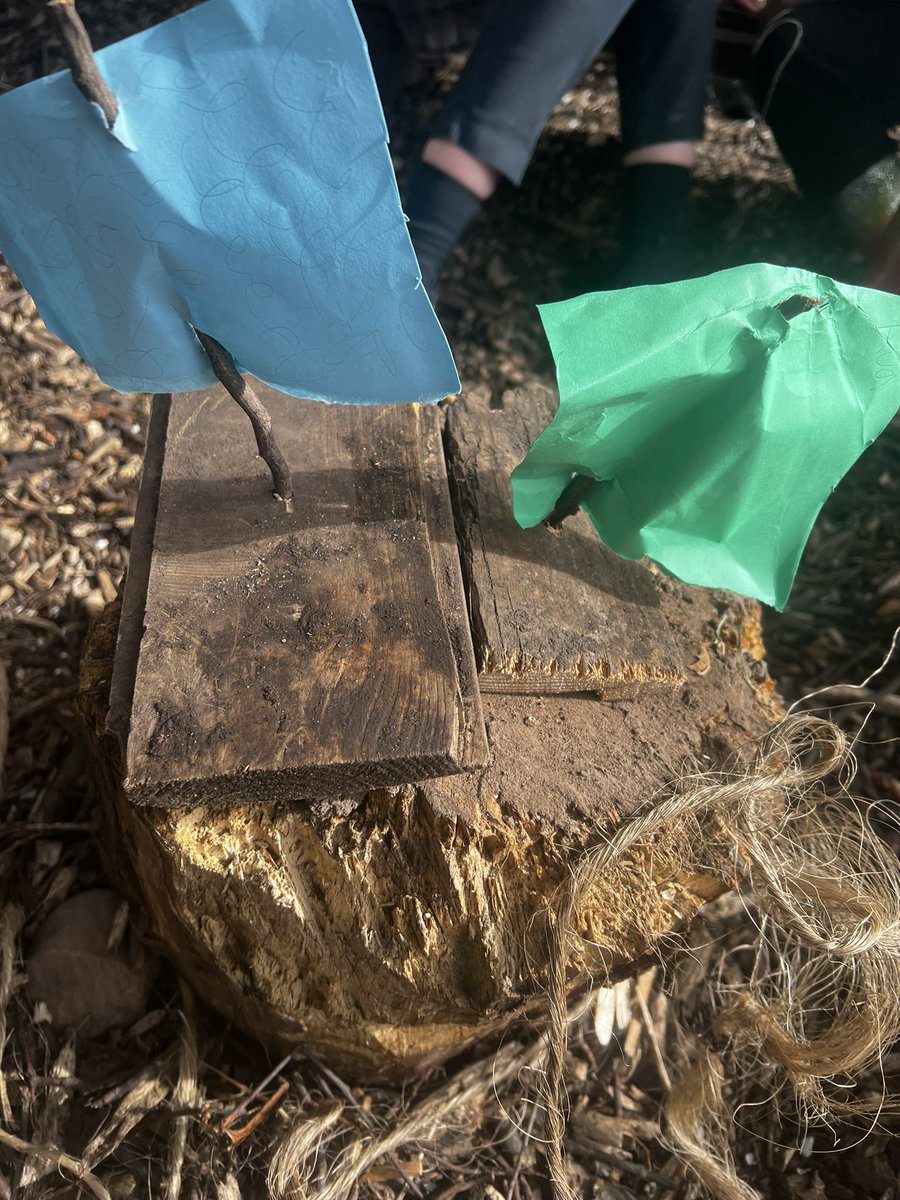 jason hardwick tweet media