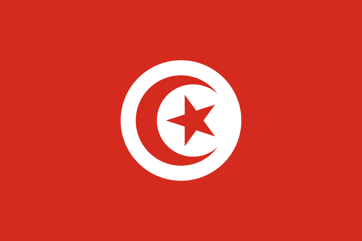 FlagsMashupBot's tweet photo. Tunisia (🇹🇳)
+
Chile (🇨🇱)
=
Chinisia: https://t.co/e9VDlzlNPb