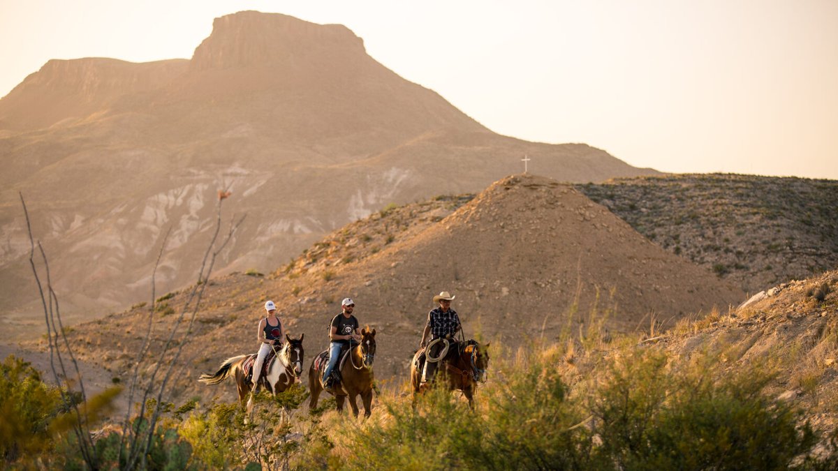 gardenandgun's tweet photo. Whether you’re a horse-crazy kid at heart or simply a nature lover, there’s an adventure for everyone at these seven equine getaways: https://t.co/MyAXXxk6zU https://t.co/i8HDBEghGN
