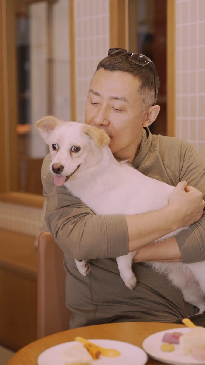 In Shanghai, Li Guangyu and other pet owners take their dogs to a fancy ...