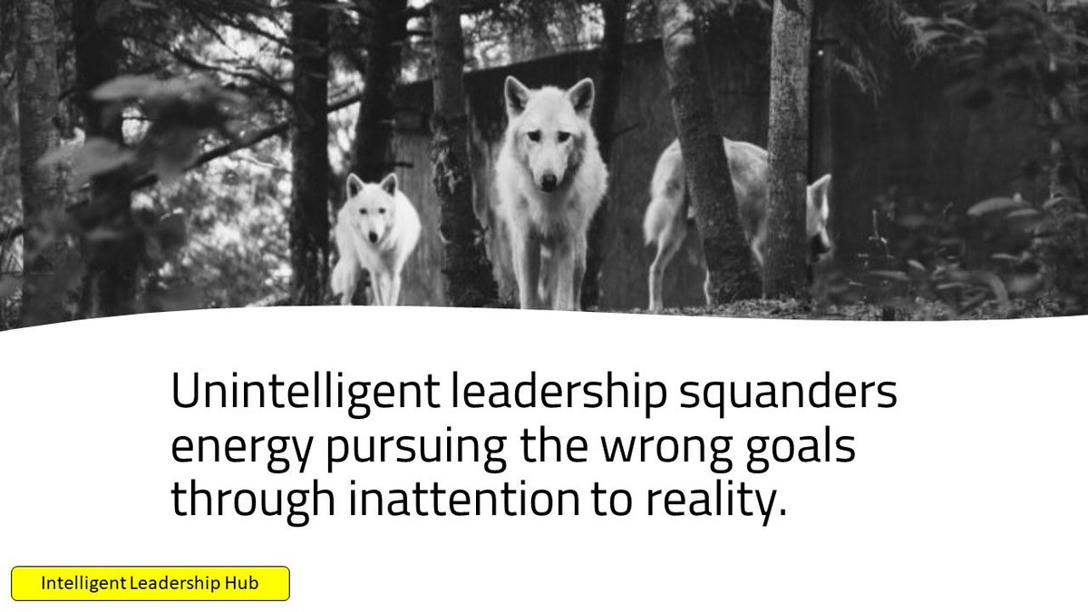 AdeMcCormack's tweet photo. Are you an intelligent leader?
https://t.co/G3JDvxUg0a
#UnintelligentLeadership #Inattention #Leadership #LeadershipDevelopment #DigitalStrategy #Reality #IntelligentLeadership https://t.co/Z6pp5tq035