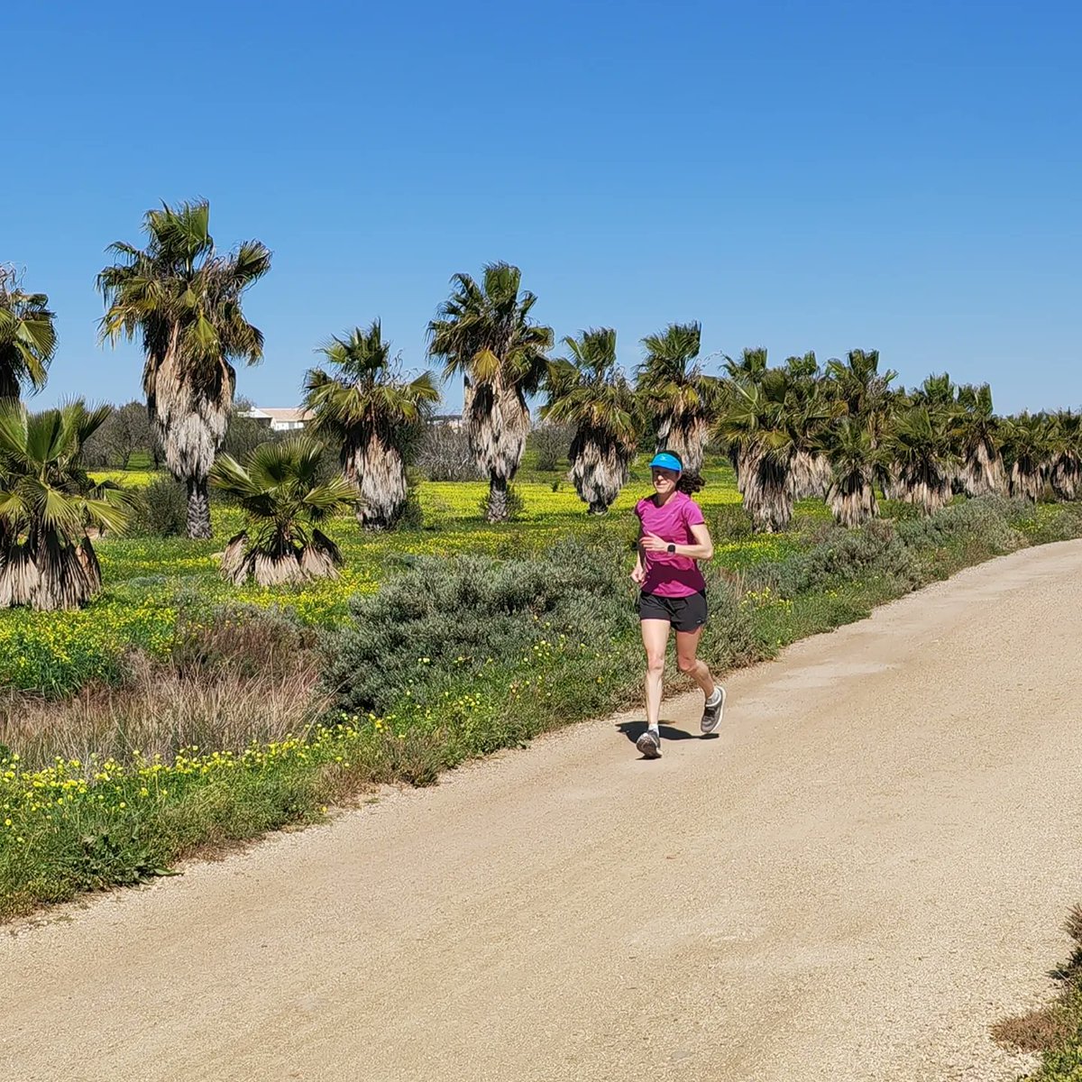 Another successful warm-weather training camp completed.  Just love those beautiful Algarve trails, blue skies and sunshine 😍
#Mizuno #waverider #waveskyrise