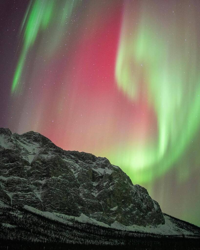 Explore Fairbanks tweet media