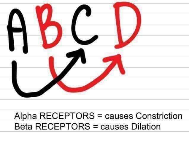 medictests's tweet photo. Super easy way to remember the difference between Alpha and Beta receptors! https://t.co/azxtazTEtd