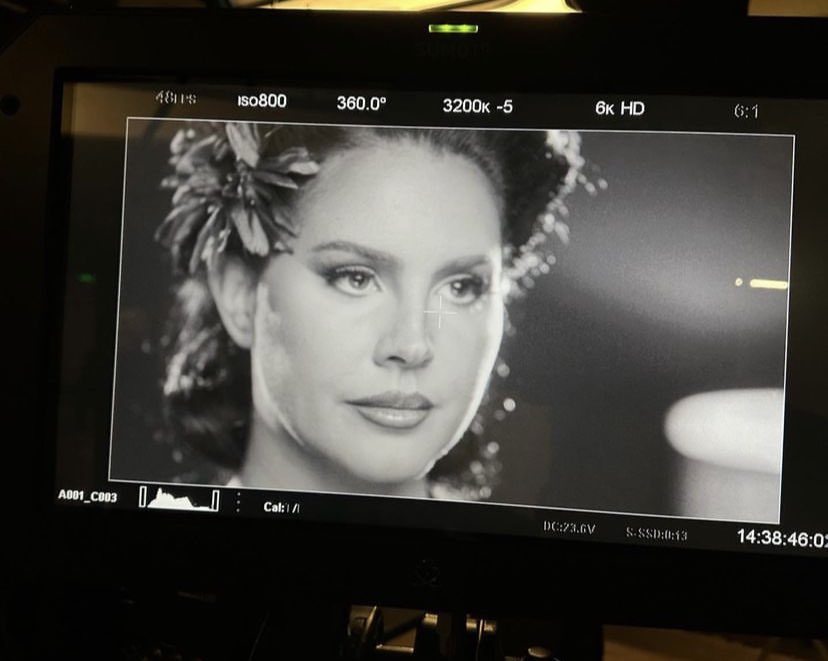 LDRHoneymoonIG's tweet photo. Hi, my name is Lana Del Rey 
and I have no idea what I’m doing

⋆ 🍎 🎀  𝒞𝒶𝓃𝒹𝓎 𝓃𝑒𝒸𝓀𝓁𝒶𝒸𝑒 🎀 

@hypothetical_monkey

March 23, 2023 https://t.co/oG12yQM80W