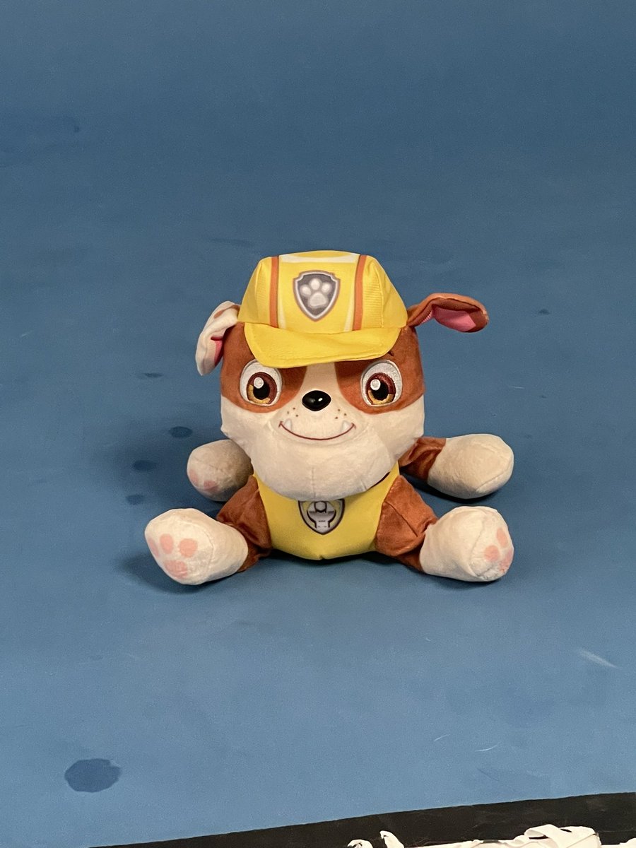 ThaCarterAis2's tweet photo. Our friend works for MSG and needed to borrow Zeus for @PAWPatrolLive at @TheGarden…is he not the most perfect “Rubble”you’ve ever seen? He loved the photoshoot and we love him so much @ReturnOfTheZak @pawpatrol 😍🥰😍 #pawpatrol #rubble #zeusbox https://t.co/44v6wxYptw