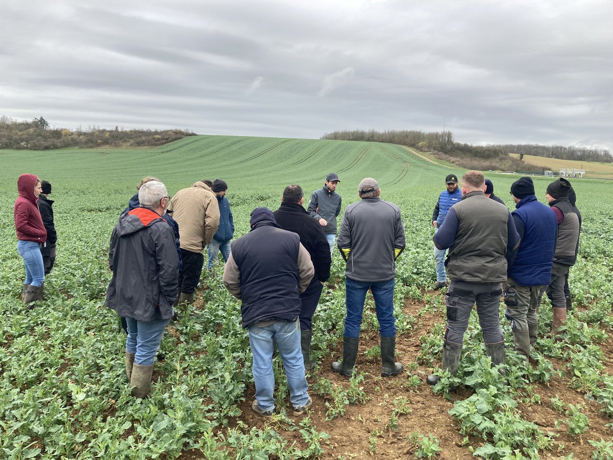 Olivier COSTE tweet media