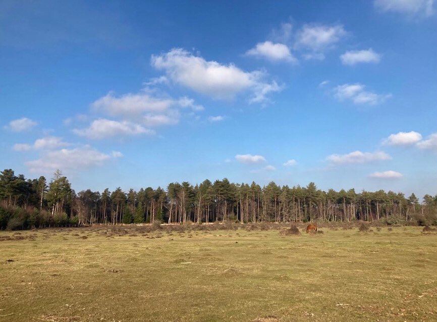 “Love isn’t afraid of fear. Fear is always afraid of love.”

- Sri Chinmoy 🕊

Faith over fear. You got this. Happy Thursday.💙 
.
.
.
.
#newforrest #ukviews #srichinmoy #thankfulthursdays #naturewalks #springishere #sunnyskies #clearskies #openair