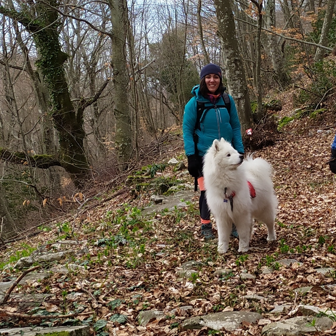 TraceyecoM's tweet photo. #dogfriens #DogsOnTwitter #doggystyle_position #Smile #outdoors #hikingadventures #teamdokgs #Survivor #friends #dyscovery #visitgreece https://t.co/kqckU1tFLJ