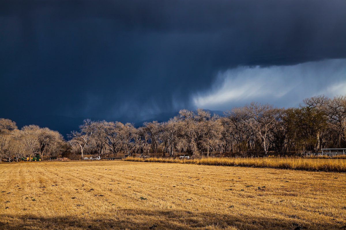 UNMHSC's tweet photo. If you aren't from New Mexico, you may not understand the relief of a spring rain. The desert breathes after holding it's breath for so long. 

Oh dusty soul, be quenched and washed. ❤️ https://t.co/hWKt9JM8fJ