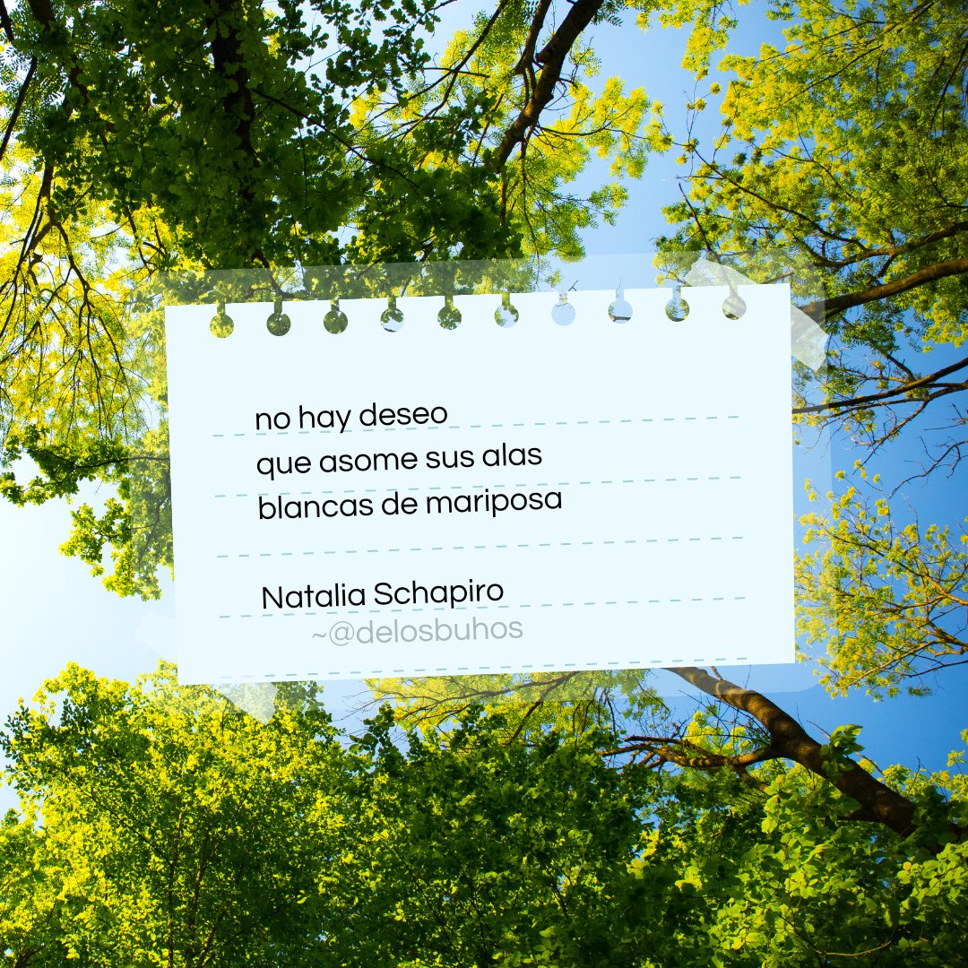 no hay deseo 
que asome sus alas
blancas de mariposa en tierra.
Queda hundirse en la verdad:
una sola abrazaba la ilusión
como la raíz de un árbol
se acompaña
a sí misma.

#NataliaSchapiro
~
#PoesíaArgentina #PoesíaEspañola #PoesíaChilena #PoesíaVenezolana #LeaPoesía