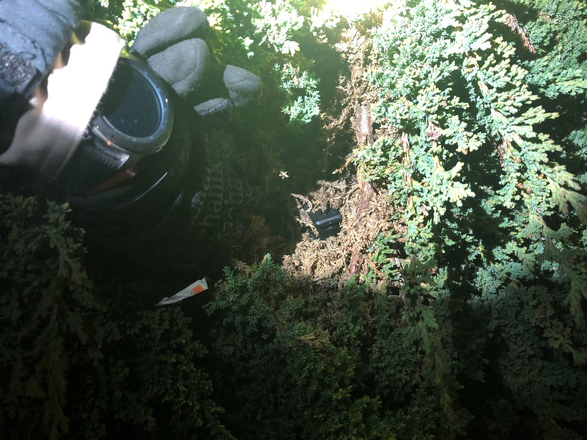 HaywardPD's tweet photo. Hayward PD, CHP, and community collaborate to arrest two for assault with a deadly weapon; two handguns recovered. 

Click the link to read more:
https://t.co/yclvc9czMn

#SaferHayward #HelloHayward #HaywardPD

@CHPcastrovalley https://t.co/KSIe3gvgD8