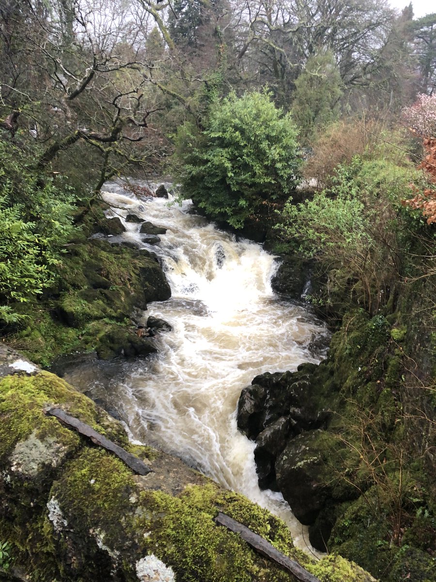 DrNickSmiff's tweet photo. Lydia Bridge, across the Avon at South Brent  (Dartmoor) this afternoon. One of my favourite bridge views. https://t.co/cK2HbbdG5i