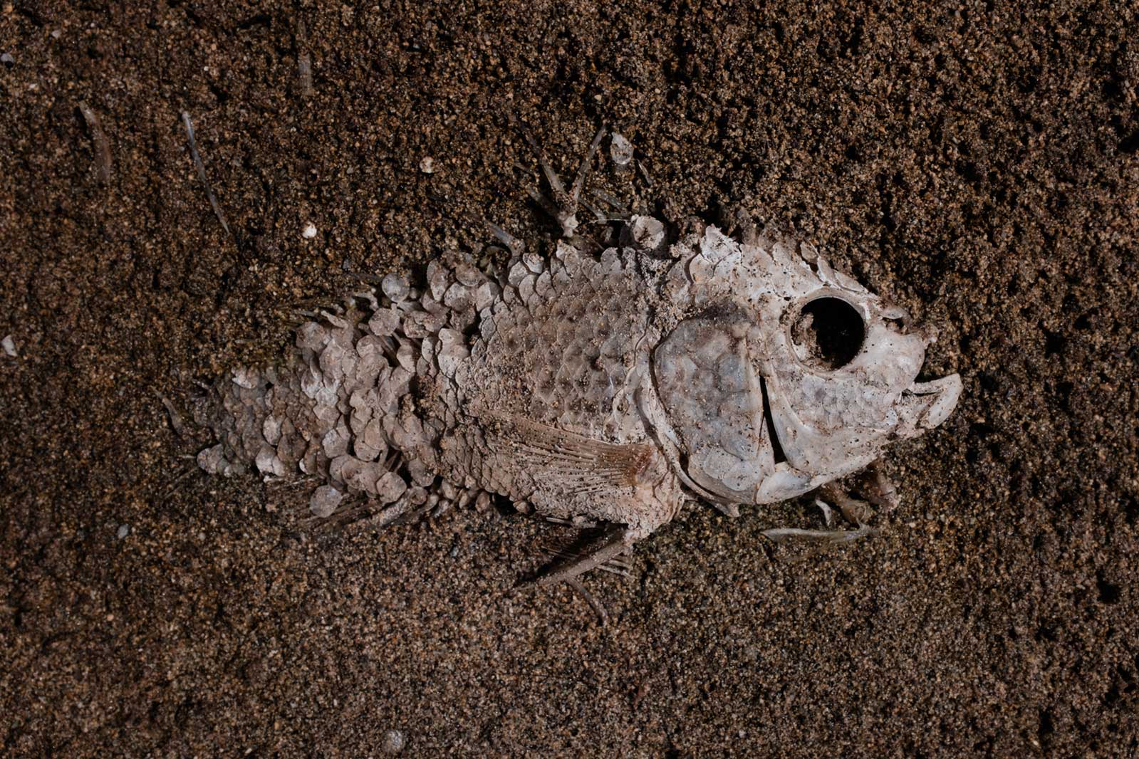 Fotografía del proyecto 'La sal se come la piedra' de Pascual Rosales