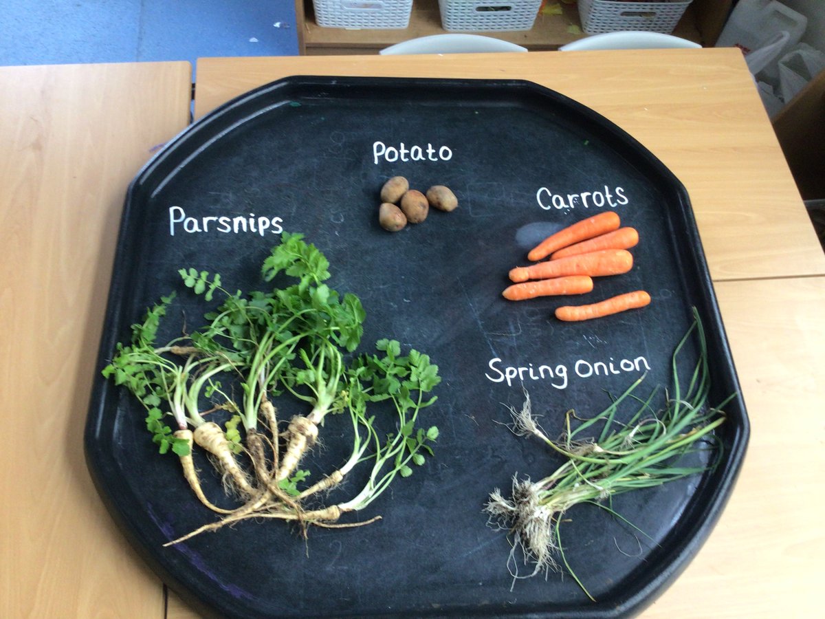 MrsHalsall02's tweet photo. So much learning going on in literacy. We love our text and we enjoy learning about where our food comes from.#WWPAREADING #WWPASCIENCE #WWPAPHONICS https://t.co/IXo9AoGD4Z