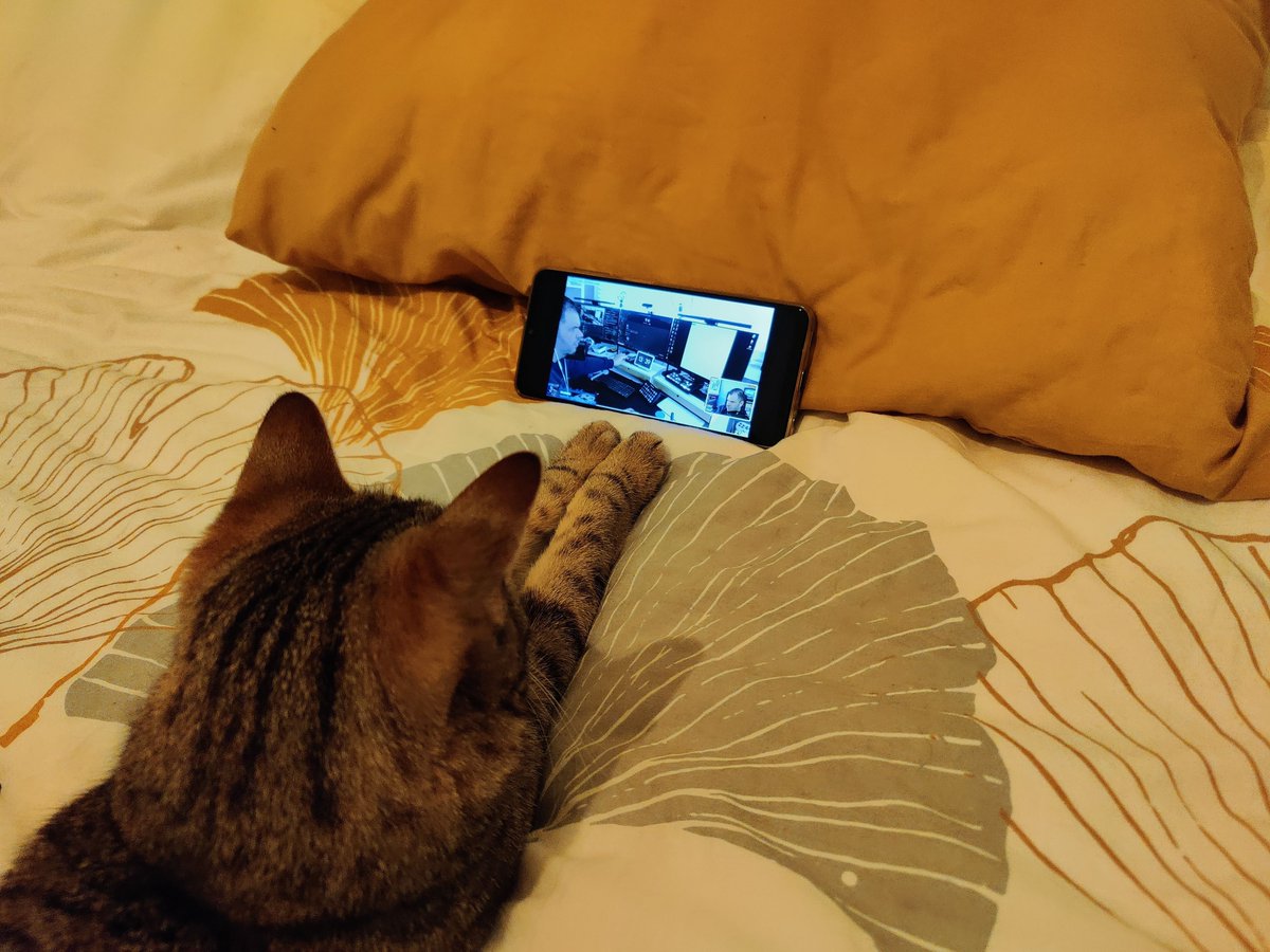 Space_Race_Game's tweet photo. Je crois que notre Pennie est accro à @Fab2Ris et @recalbox 😊 https://t.co/Rnex0mlcd3