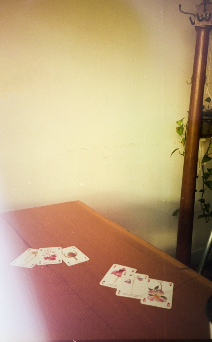 House of Cards
📸 Yashica J point and shoot
🎞️ Portra 400