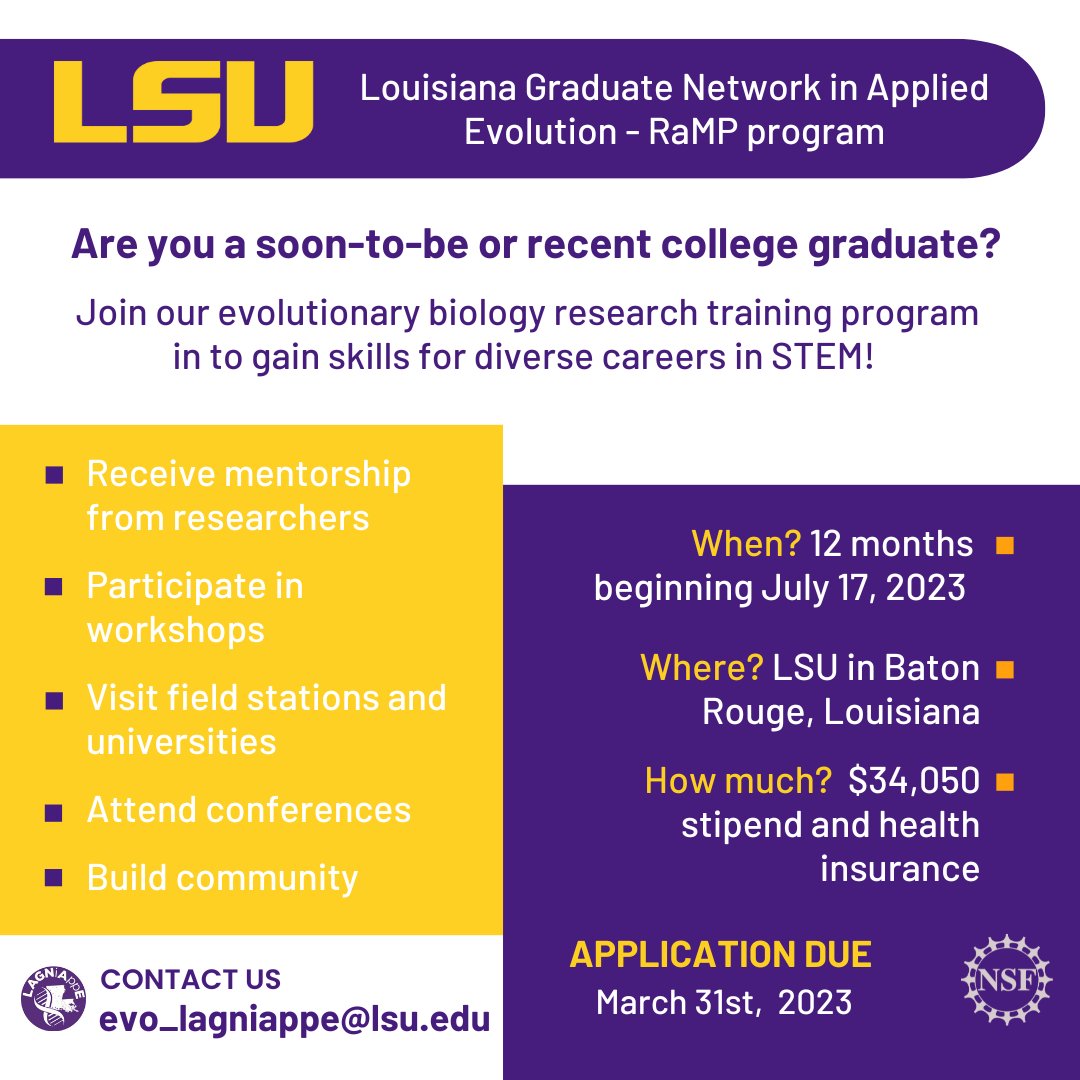 LAGNiAppE Network tweet media