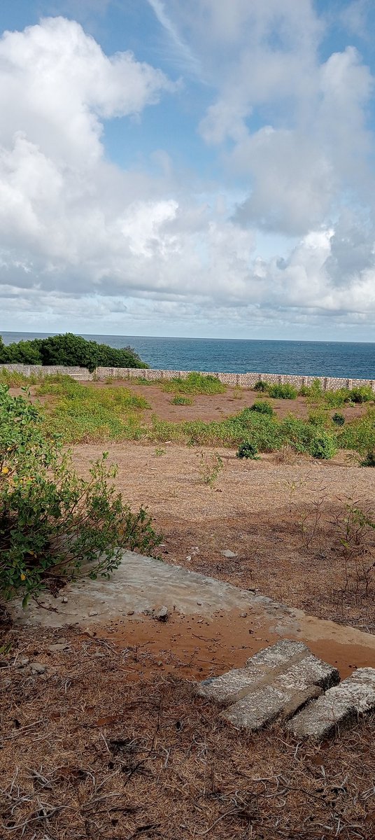 MuneeJoseph's tweet photo. 6 acres of prime beach plot for sale( kilifi town) Bofa road.
Contact 0721310298 https://t.co/O202j7pd6B