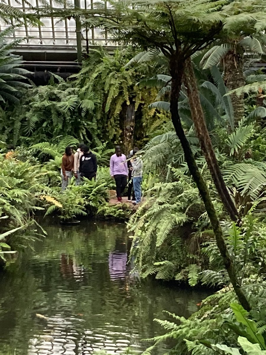 Schutter227's tweet photo. Enjoyed a trip to the Garfield Park Conservatory 🌺 with the Pre-AP Biology students from Rich Township #richinstudentsuccess #RTHS #garfieldparkconservatory #botany #fieldtrip @AngieTapley1 @CoachC82 https://t.co/WpneqvYFbo