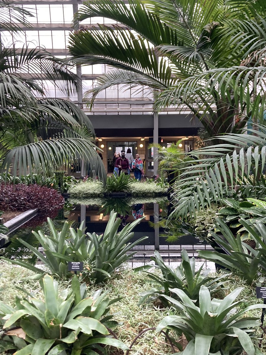 Schutter227's tweet photo. Enjoyed a trip to the Garfield Park Conservatory 🌺 with the Pre-AP Biology students from Rich Township #richinstudentsuccess #RTHS #garfieldparkconservatory #botany #fieldtrip @AngieTapley1 @CoachC82 https://t.co/WpneqvYFbo