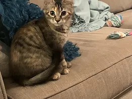 Pause4Change tweet media