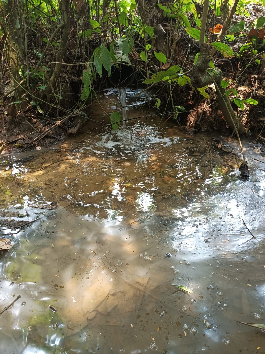 ComunaEden's tweet photo. Cerca de la plataforma están nuestros ríos Panka Yaku y el Ushpa Yuturi, que desembocan en la laguna Yuturi, en estos ríos y laguna la Comuna pesca y realiza turismo. No sabemos desde cuándo se está derramando el agua de formación, sin embargo no es la primera vez. https://t.co/i5msukOljw