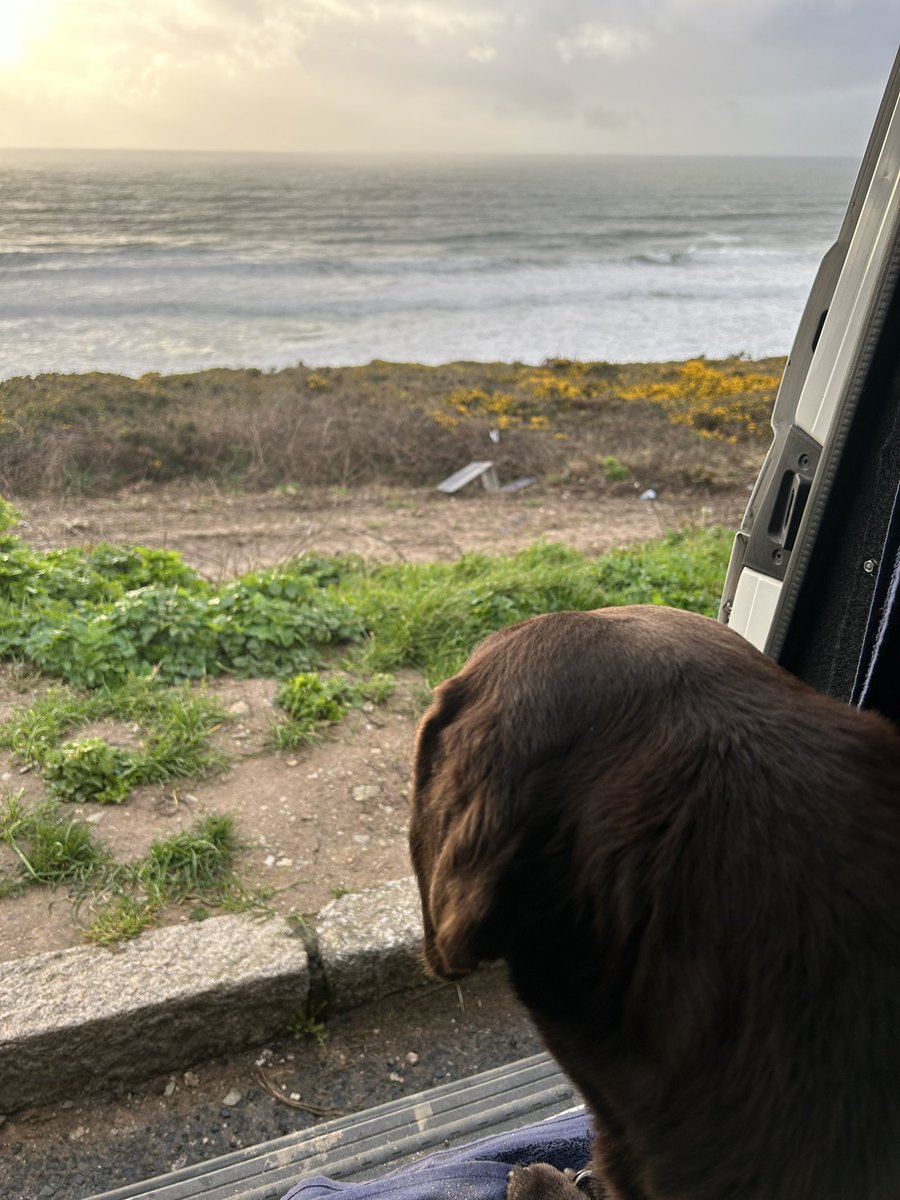 mickfox200's tweet photo. Just a Dubdog surveying his kingdom from his Dub … ❤️❤️
#Kernowfornia.. #Cornishsunset…#hightide 
#SpringEquinox https://t.co/tKRq8KQZCm