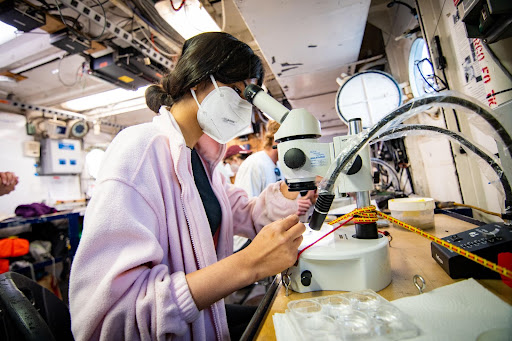 .<a href="/EeshaRangani18/">Eesha Rangani</a>, a marine biology master’s student from Bangalore, India, is studying invertebrates at Scripps Oceanography. 🪱 Her research is focused on the systematics of deep-sea #Nereidid worms from vents, seeps, and whale falls.