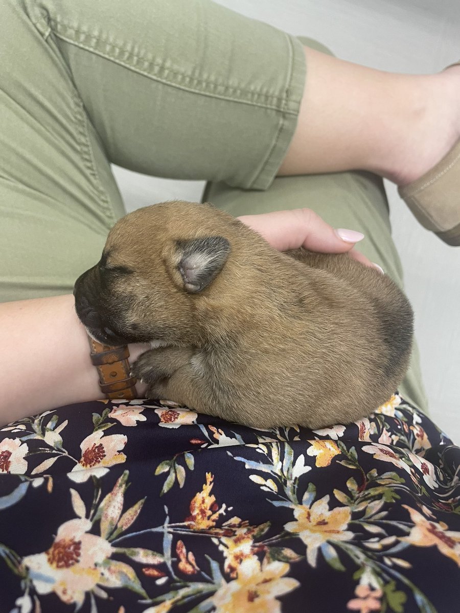 Lindsey Kauitzsch tweet media