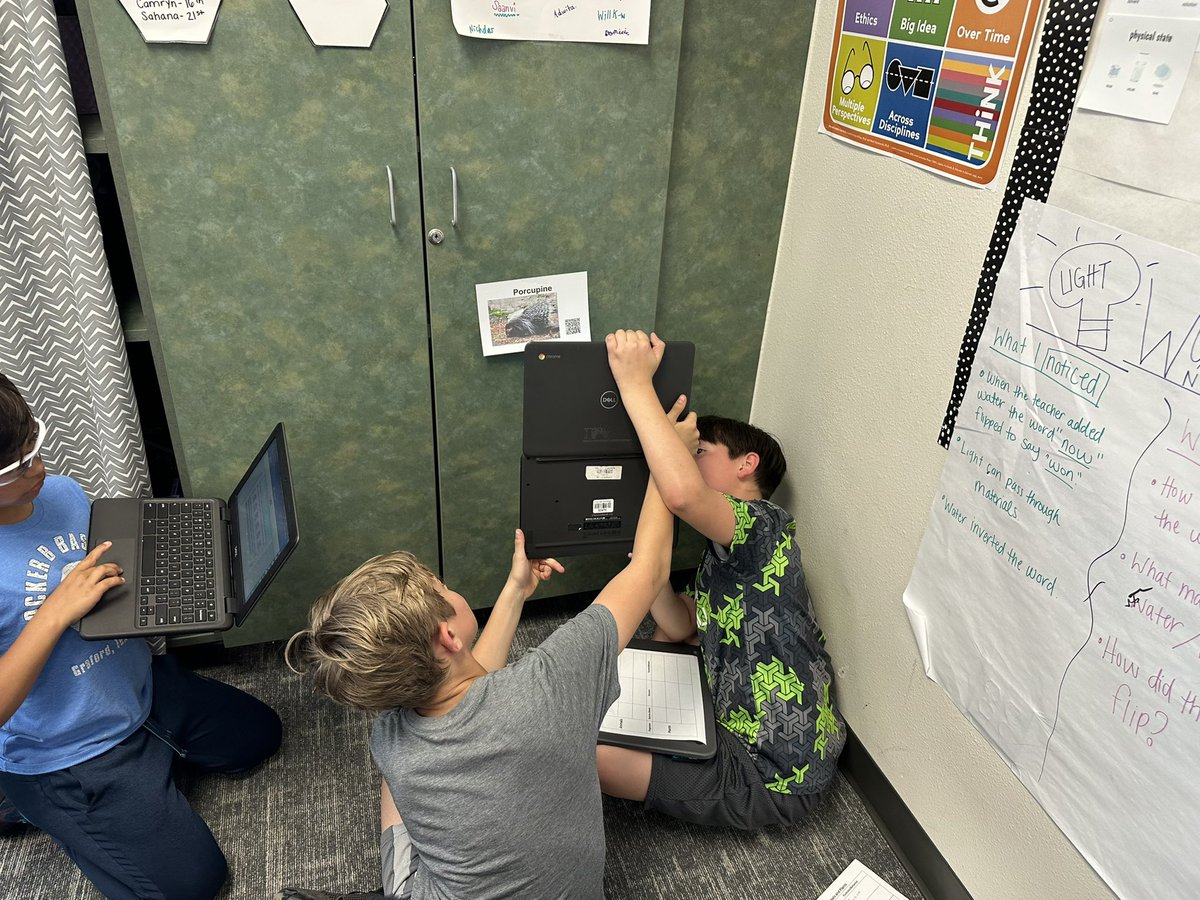 Ms_Layyyy's tweet photo. Exploring the adaptations of plant and animals in their environments🦒🐪🐝🦋🪷🌳 #RESUbuntu #RobertsonU @Robertson_Elem https://t.co/Qh9f2F0zgo