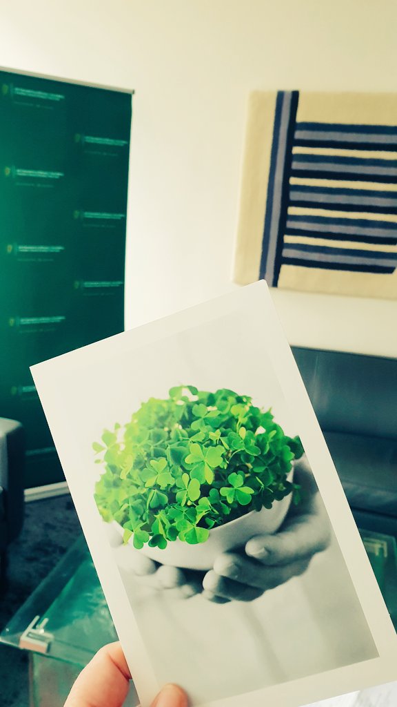 Helena Nolan tweet media