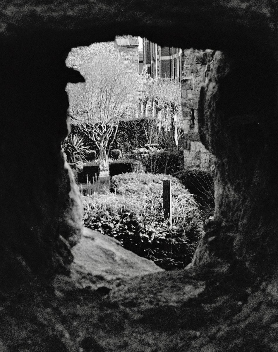 Stephen F Monk tweet media