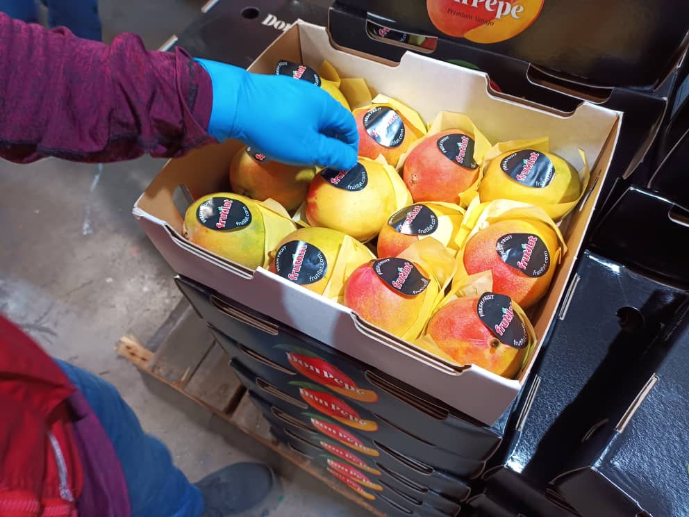 InsaiVeOficial's tweet photo. #NiCorrupciónNiPrivatización 
#23Marzo 
VENEZUELA EXPORTA MANGO 
La Guaira 📢 
Inspección Fitosanitaria a 3.600 Kilos de Mango 🥭 🥭 🥭 con destino a Inglaterra.
INSAI, impulsando la Economía Productiva 🇻🇪
@NicolasMaduro 
@MinAgriculturaV 
@wcastroPSUV 
@Tibisaylcastro https://t.co/W2BMLSmYog