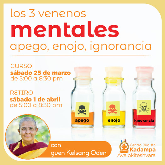 MeditarSatelite's tweet photo. ¡Este sábado, curso especial con guen Oden!
Curso - sábado 25 de marzo
Retiro - sábado 1 de abril

- Solo curso - $200
- Solo retiro - $120
- PAQUETE DE CURSO Y RETIRO - $270

Info
https://t.co/ngfqS0SDk6
https://t.co/uj1cbkaAMl https://t.co/g0OKYDahVd