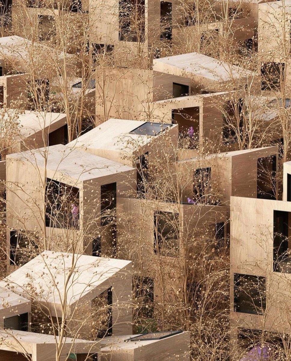 parametricarch's tweet photo. 'Boulder Houses' by Studio Precht is a story of houses and trees for a residential area in India where each house is composed of 4 volumes that are internally connected and pierced by nature. Share your thoughts in the comments about this project. 

📸 Studio Precht

#chrisprecht #studioprecht #residential #residentialdesign #residentialarchitecture #digitaldesign #design #parametric #grasshopper3d