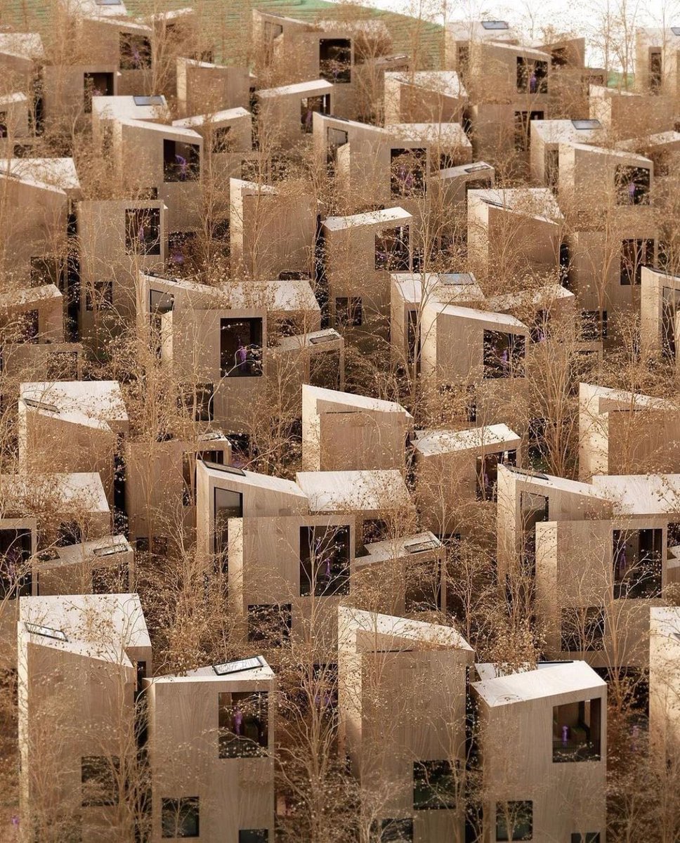 parametricarch's tweet photo. 'Boulder Houses' by Studio Precht is a story of houses and trees for a residential area in India where each house is composed of 4 volumes that are internally connected and pierced by nature. Share your thoughts in the comments about this project. 

📸 Studio Precht

#chrisprecht #studioprecht #residential #residentialdesign #residentialarchitecture #digitaldesign #design #parametric #grasshopper3d
