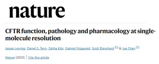 Technology from the St. Jude Single-Molecule Imaging Center helped scientists at St. Jude and <a href="/RockefellerUniv/">Rockefeller University</a> gain new insight into how the cystic fibrosis transmembrane conductance regulator works. Read the <a href="/Nature/">nature</a> paper. bit.ly/3Txrv4t <a href="/TheBlanchardLab/">Scott C Blanchard</a> #RareDisease