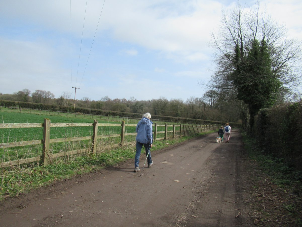 CoastCountryNw's tweet photo. Spring has Sprung 

Lovely walk today at lunchtime. 

#walx #walxclub #makingwalkingwork #health #fitness #nwuk #walking #mentalhealth #nordicwalking #walxcoastandcountry #winterwalks #makingfriends #sussex #wellness #yoga #tbw https://t.co/lF4NjyOwq7