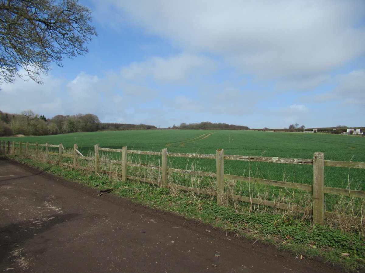 CoastCountryNw's tweet photo. Spring has Sprung 

Lovely walk today at lunchtime. 

#walx #walxclub #makingwalkingwork #health #fitness #nwuk #walking #mentalhealth #nordicwalking #walxcoastandcountry #winterwalks #makingfriends #sussex #wellness #yoga #tbw https://t.co/lF4NjyOwq7