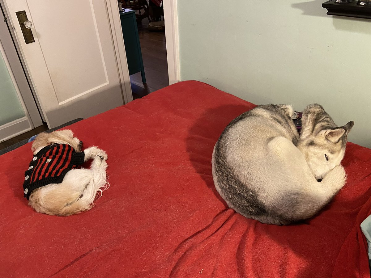 Elle Moxley tweet media