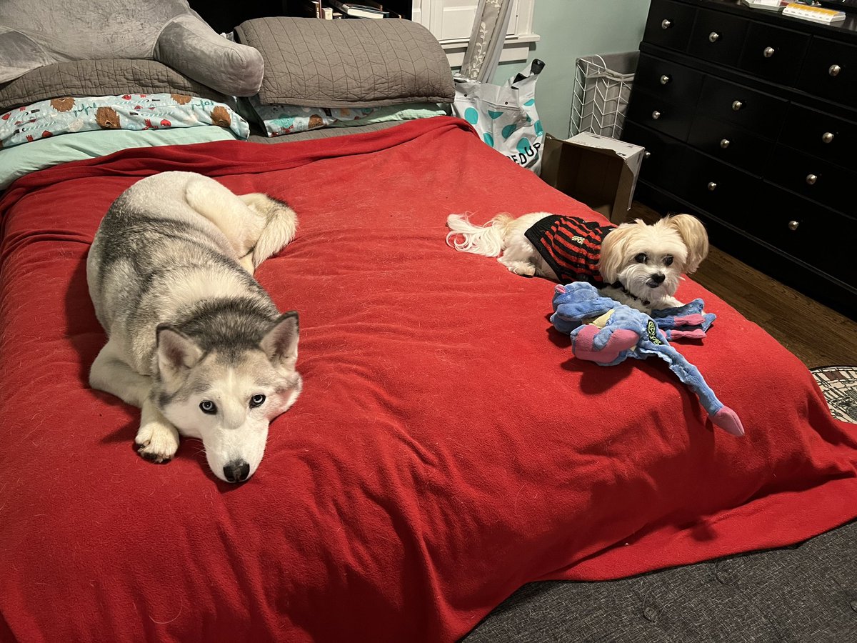 Elle Moxley tweet media