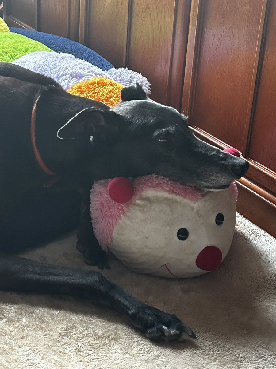 cathknibbs tweet media