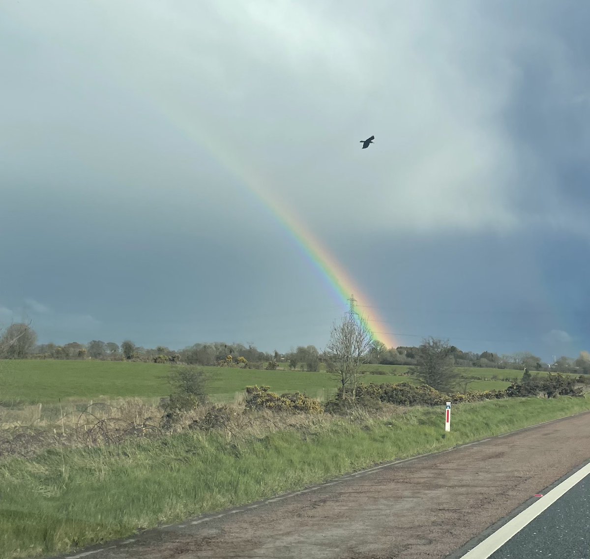 susie_wilkie's tweet photo. Out at a visit today and this was my scenery on the way home. Loved being out in clinical practice to see how our @QUBSONM students are getting on, and lovely to meet more of our clinical partners ☺️#iloveQUBnursing #outforfreshair #rainbowsofhope https://t.co/ndGAjoZSyC