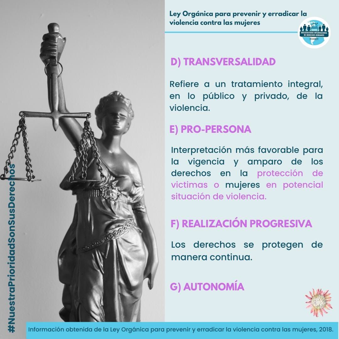CoidhEc's tweet photo. #Proteas
#Transformaciones 
#NuestraPrioridadSonSusDerechos https://t.co/pV6Rp9jzQJ